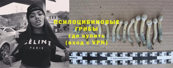 эйфоретик Новодвинск