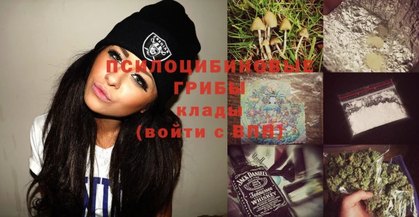 apvp Нягань