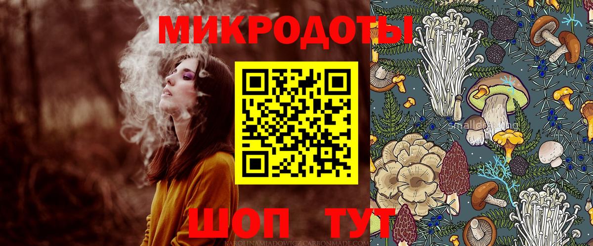 Псилоцибиновые грибы Psilocybe Кашира