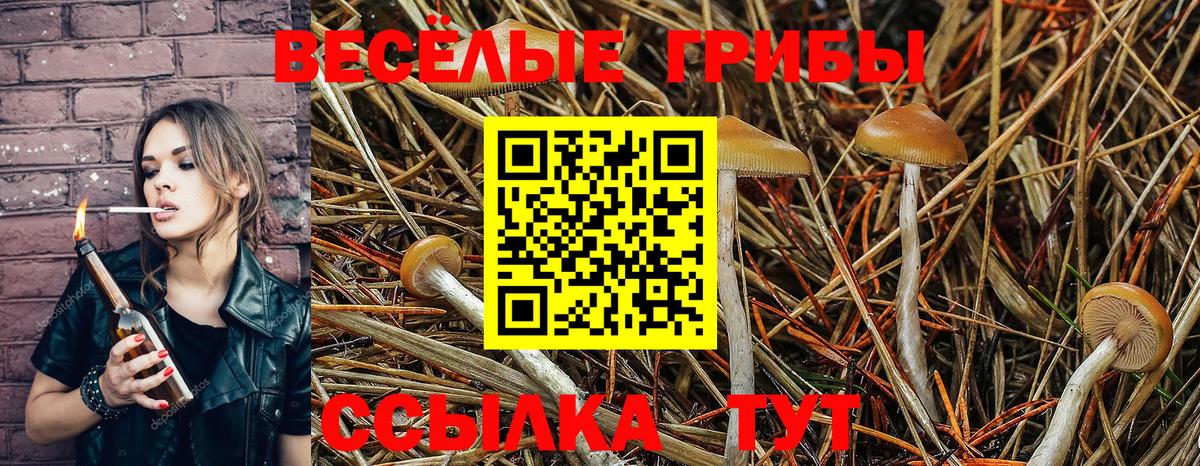 Галлюциногенные грибы прущие грибы Кашира