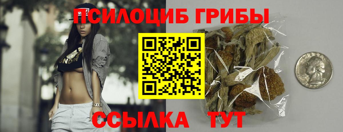 Кашира  Галлюциногенные грибы мицелий  Псилоцибиновые грибы MAGIC MUSHROOMS  Вход с VPN 